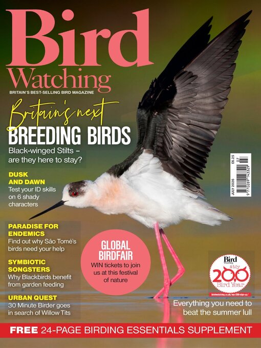 Cover image for Bird Watching 